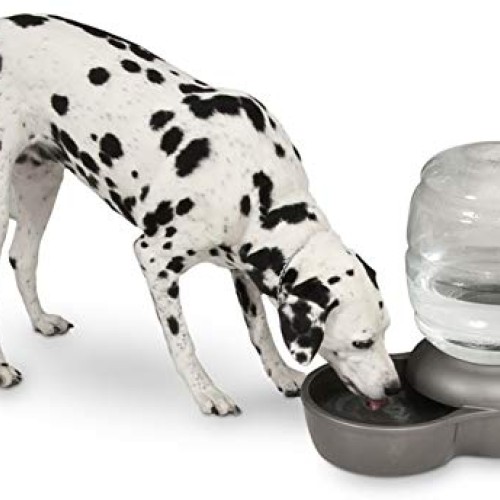 Petmate Replendish Gravity Waterer With Microban for Cats and Dog...