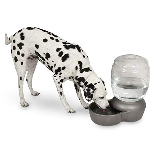 Petmate Replendish Gravity Waterer With Microban for Cats and Dog...