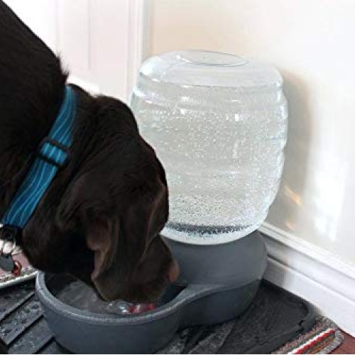 Petmate Replendish Gravity Waterer With Microban for Cats and Dog...