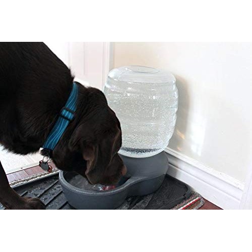 Petmate Replendish Gravity Waterer With Microban for Cats and Dog...
