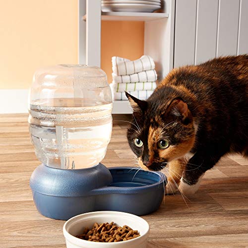 Petmate Replendish Gravity Waterer With Microban for Cats and Dog...