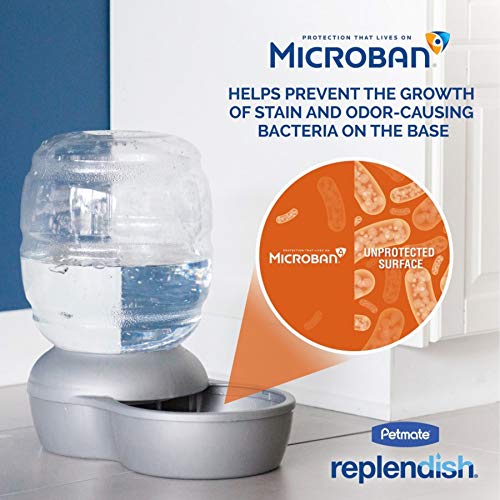Petmate Replendish Gravity Waterer With Microban for Cats and Dog...