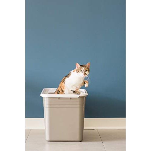 Petmate Top Entry Litter Pan Cat Litter Box Brushed Nickel/Pearl ...
