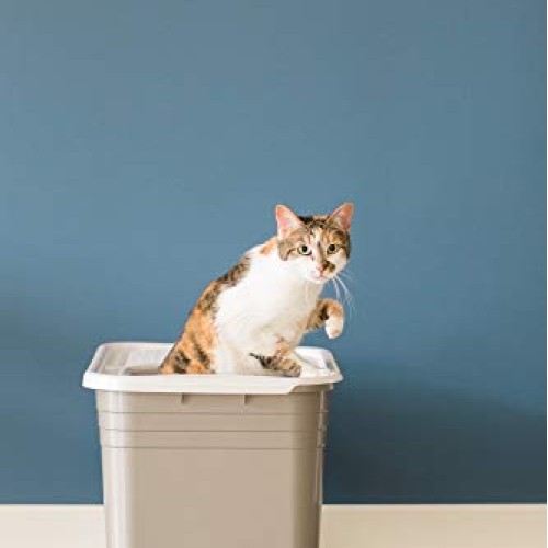 Petmate Top Entry Litter Pan Cat Litter Box Brushed Nickel/Pearl ...
