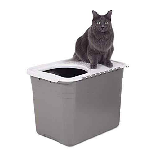 Petmate Top Entry Litter Pan Cat Litter Box Brushed Nickel/Pearl ...