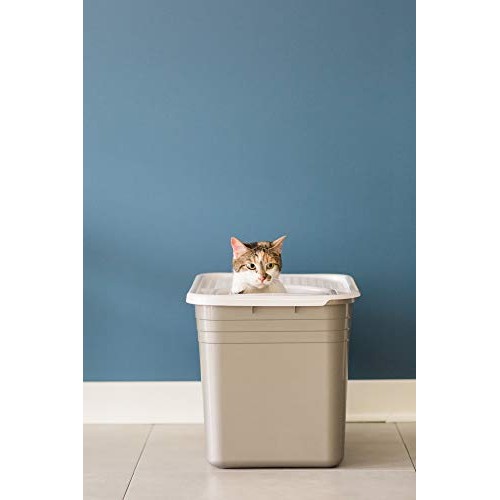 Petmate Top Entry Litter Pan Cat Litter Box Brushed Nickel/Pearl ...