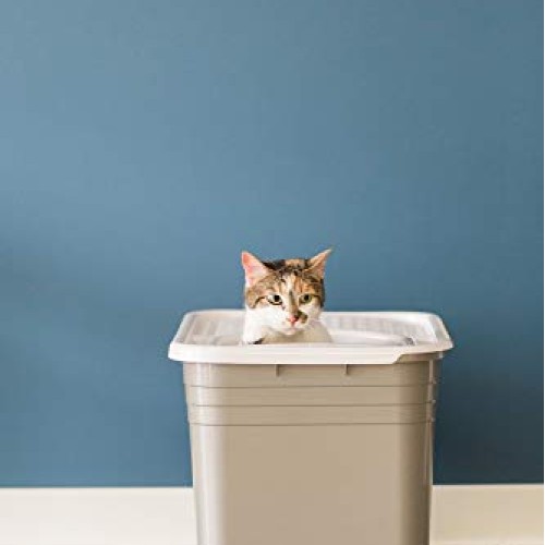 Petmate Top Entry Litter Pan Cat Litter Box Brushed Nickel/Pearl ...