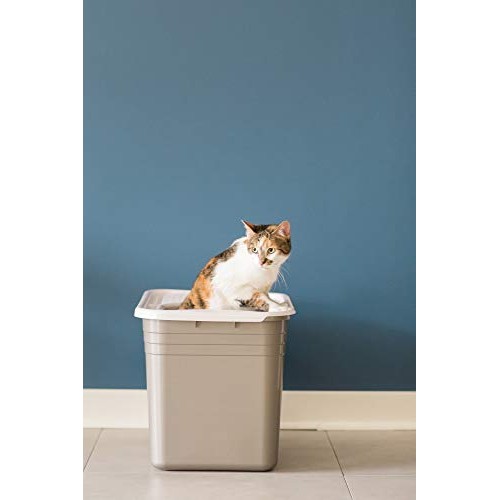 Petmate Top Entry Litter Pan Cat Litter Box Brushed Nickel/Pearl ...