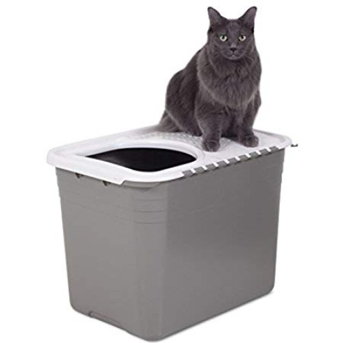 Petmate Top Entry Litter Pan Cat Litter Box Brushed Nickel/Pearl ...