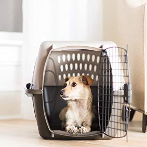 Petmate Two Door Top Load