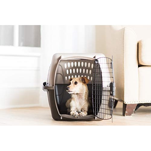 Petmate Two Door Top Load