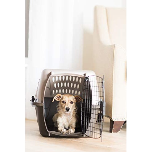 Petmate Two Door Top Load