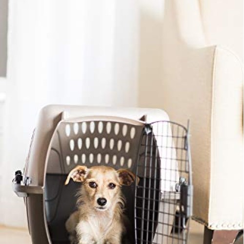 Petmate Two Door Top Load