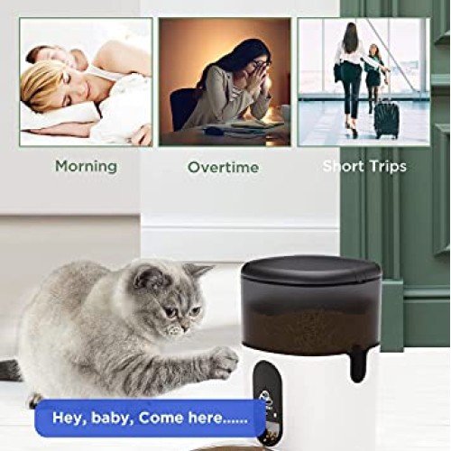 PETODAY Automatic Cat Feeder,Bluetooth Enabled 4L Timed Cat Feede...