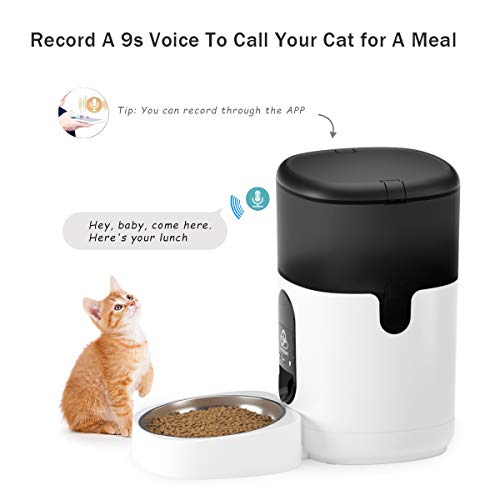 PETODAY Automatic Cat Feeder,Bluetooth Enabled 4L Timed Cat Feede...