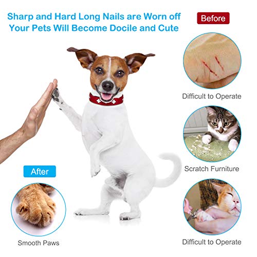 Furrykid Dog Nail Grinder with Upgrade 3 Grinding Ports, 2-Speed ...
