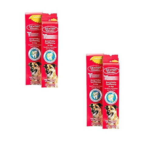 Petrodex 4 Pack of Enzymatic Toothpaste for Dogs, 6.2 Ounces each...
