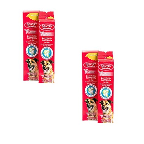 Petrodex 4 Pack of Enzymatic Toothpaste for Dogs, 6.2 Ounces each...