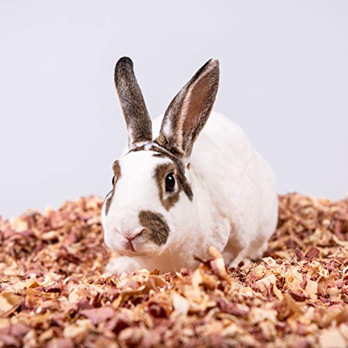 PETSPICK Red Cedar Pet Bedding for Dogs and Horses, 141L
