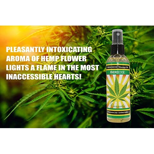 Massage Oil PheroCode 3.4 Fl. Oz with Pheromones and Hemp Flower ...