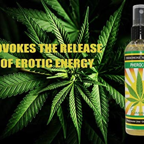 Massage Oil PheroCode 3.4 Fl. Oz with Pheromones and Hemp Flower ...