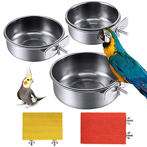 PINVNBY Bird Feeding Dish Cups Parrot Stainless Steel Food Water ...