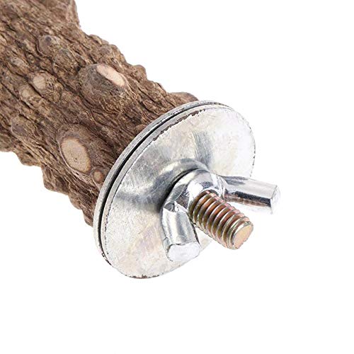 PINVNBY Bird Perch Nature Wood Prickly Parrot Stand Toy Branch Pl...