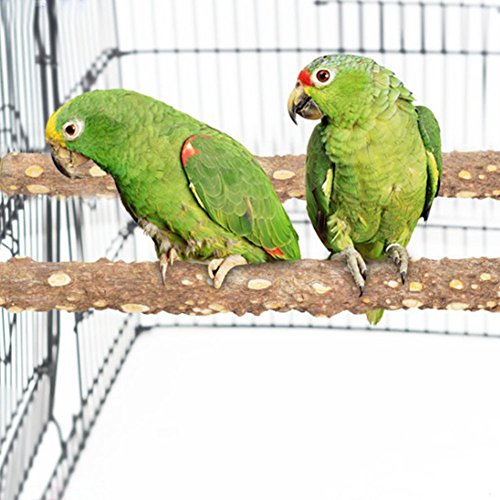 PINVNBY Bird Perch Nature Wood Prickly Parrot Stand Toy Branch Pl...