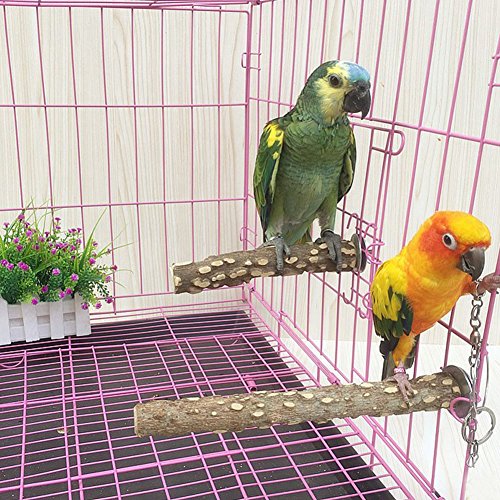 PINVNBY Bird Perch Nature Wood Prickly Parrot Stand Toy Branch Pl...