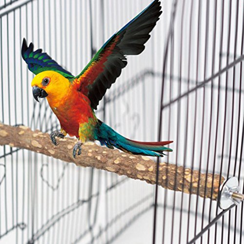 PINVNBY Bird Perch Nature Wood Prickly Parrot Stand Toy Branch Pl...