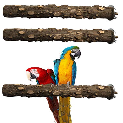PINVNBY Bird Perch Nature Wood Prickly Parrot Stand Toy Branch Pl...