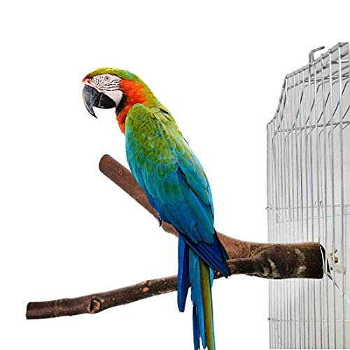 PINVNBY Natural Bird Wood Perch Parakeet Standing Toy Sticks Parr...