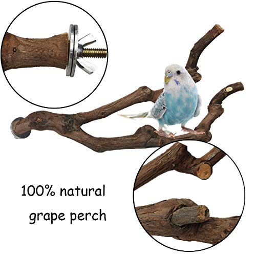 PINVNBY Natural Parrot Perch Bird Stand Pole Wild Grape Stick Paw...