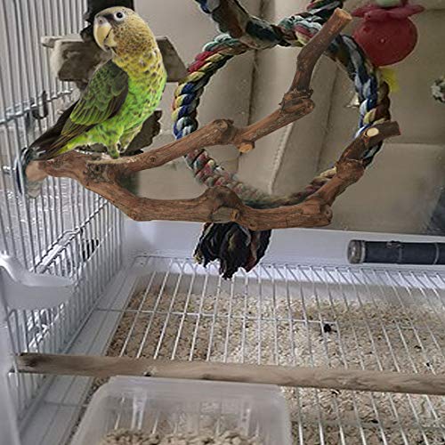 PINVNBY Natural Parrot Perch Bird Stand Pole Wild Grape Stick Paw...
