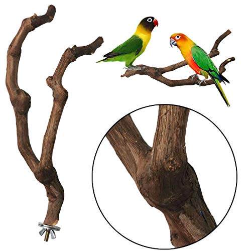 PINVNBY Natural Parrot Perch Bird Stand Pole Wild Grape Stick Paw...