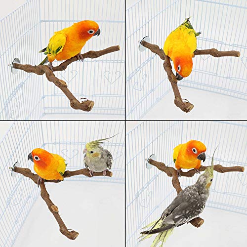 PINVNBY Natural Parrot Perch Bird Stand Pole Wild Grape Stick Paw...