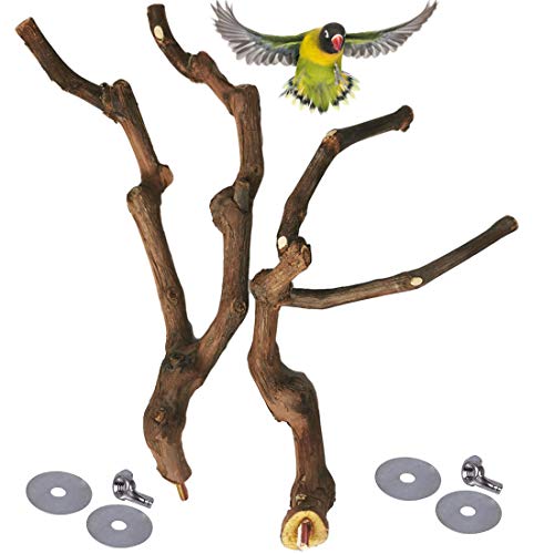 PINVNBY Natural Parrot Perch Bird Stand Pole Wild Grape Stick Paw...