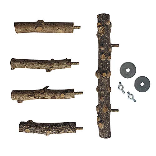 PINVNBY Parrot Perch Nature Wood Prickly Bird Stand Conure Branch...