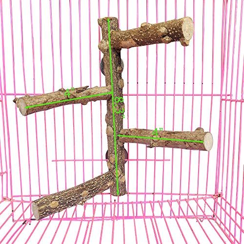 PINVNBY Parrot Perch Nature Wood Prickly Bird Stand Conure Branch...
