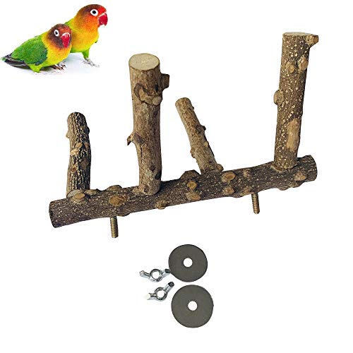PINVNBY Parrot Perch Nature Wood Prickly Bird Stand Conure Branch...