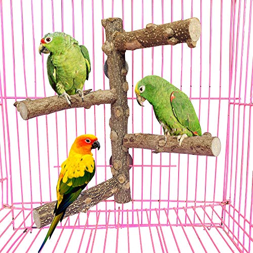 PINVNBY Parrot Perch Nature Wood Prickly Bird Stand Conure Branch...