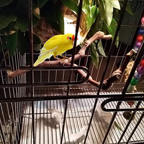 PINVNBY Parrot Perches Natural Birds Stand Wild Grape Stick Grind...