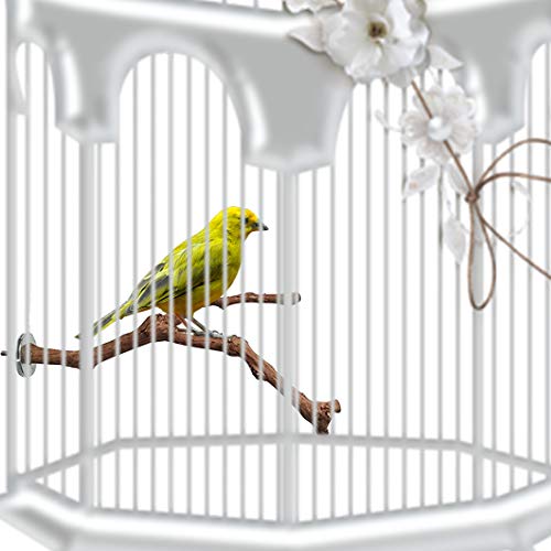 PINVNBY Parrot Perches Natural Birds Stand Wild Grape Stick Grind...