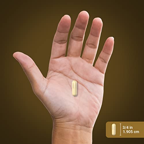 Piping Rock Turkey Tail Mushroom Capsules 1200mg | 200 Pills | Ex...