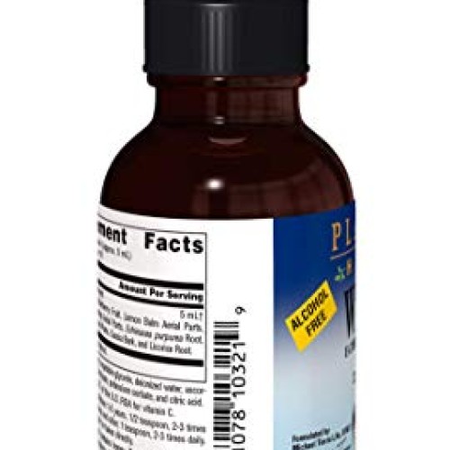 Planetary Herbals Well Child, Alcohol Free 5 ml Echinacea-Elderbe...
