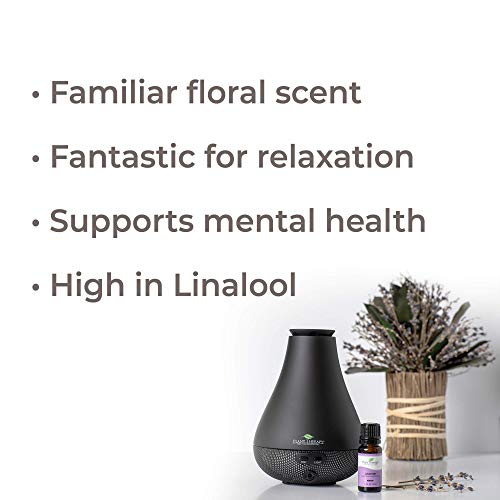 Plant Therapy Lavender Essential Oil 100% Pure, Undiluted, Therap...