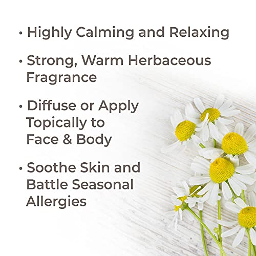 Plant Therapy Organic German Chamomile Essential Oil 2.5 mL 1/12...
