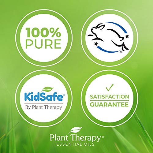 Plant Therapy Organic Hemp Seed Carrier Oil 2 oz Base Oil for Aro...