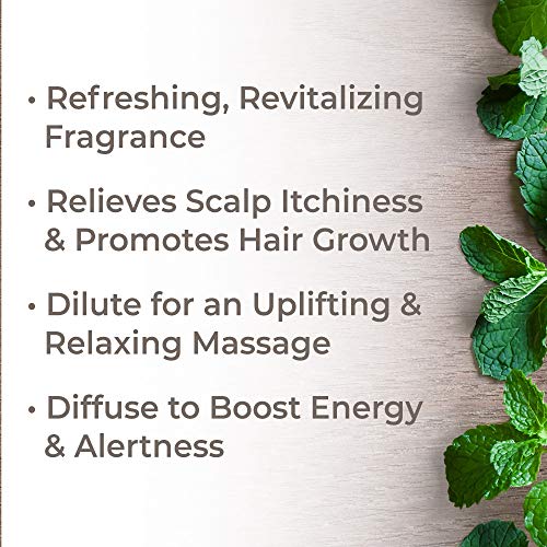 Plant Therapy Peppermint Essential Oil 100% Pure, Undiluted, Natu...