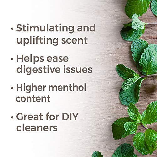 Plant Therapy Peppermint Western U.S. Essential Oil 10 mL 1/3 oz...